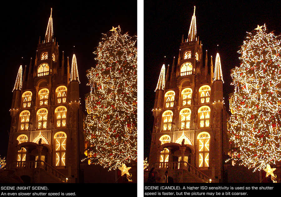 5 Tips for Capturing Christmas Lights OM SYSTEM