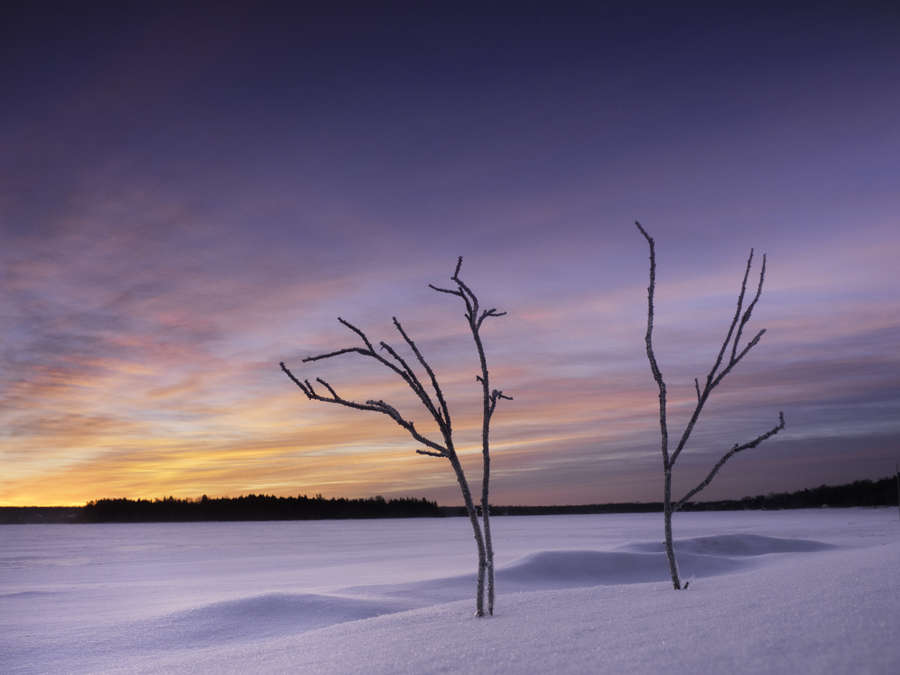 10 Tips to Improve Your Winter Compositions | OM SYSTEM