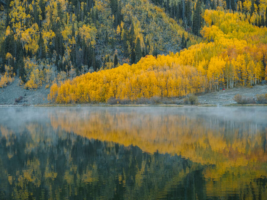 Capturing Autumn in The Rockies | OM SYSTEM